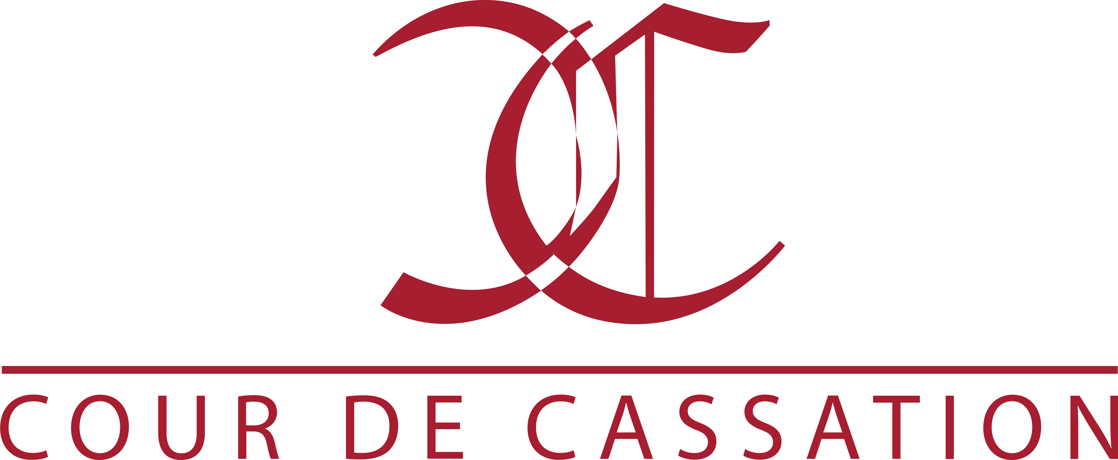 Cour de cassation